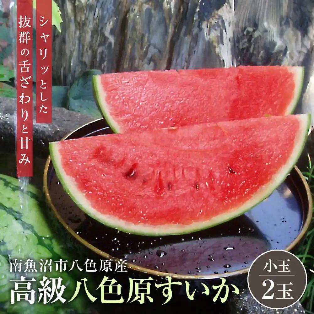 【高級】八色原すいか小玉２玉 | すいか