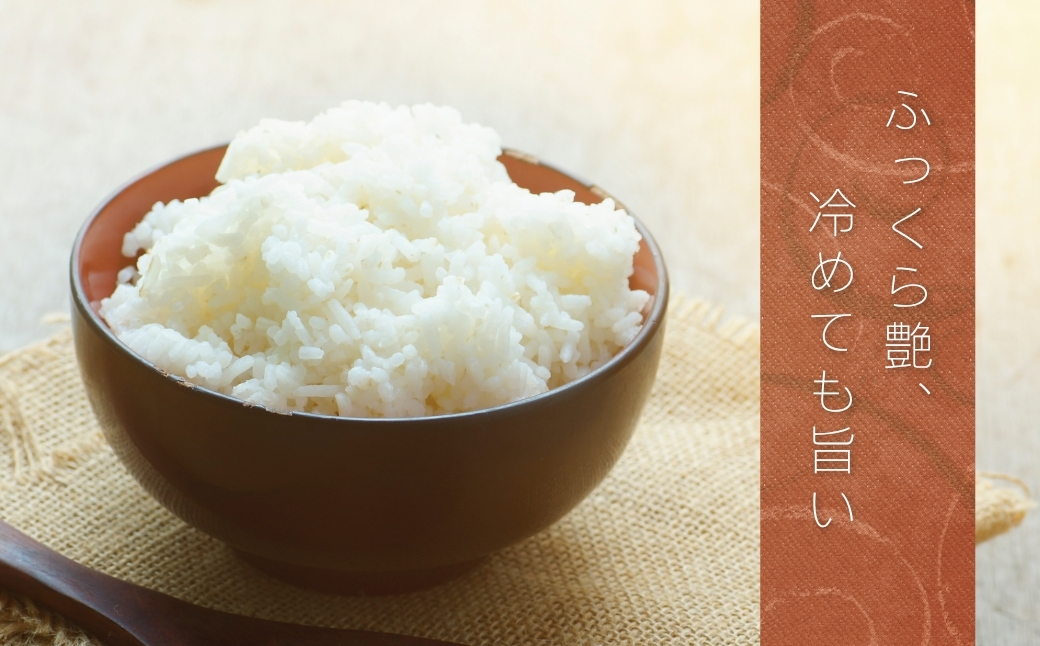 JAかとり直送 新米コシヒカリ 精米10kg（5kg×2）千葉県産 令和7年産 神崎町【千葉県神崎町ふるさと納税】