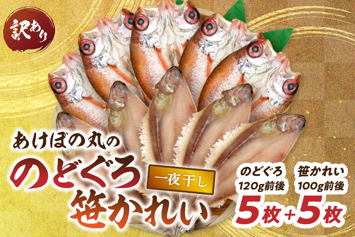 
            【訳あり数量限定】あけぼの丸ののどぐろ・笹かれい一夜干しセット 魚 魚介類 海鮮 のどぐろ アカムツ 笹カレイ カレイ セット 詰め合わせ 一夜干し 訳あり 【146_2037】
          