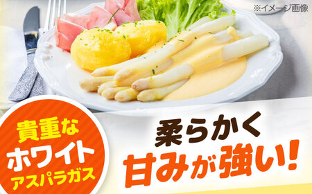 【北海道産】 ホワイトアスパラガス 5缶《喜茂別町》【きもべつ観光協会】 アスパラ アスパラガス ホワイトアスパラ 缶詰 缶 サラダ 北海道 常温 常温配送[AJAG011]