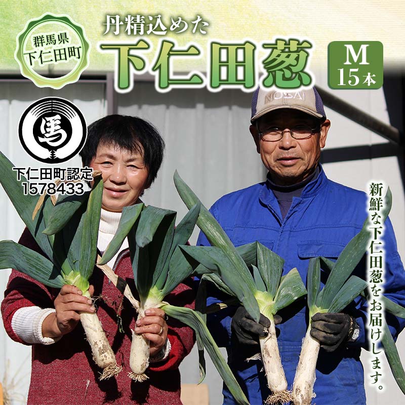 【ふるさと納税】丹精込めた下仁田葱（Mサイズ 15本） とろける 甘い ねぎ ネギ 王様ねぎ 殿様ねぎ 特産 栄養たっぷり ブランド 上州ねぎ すきやき F21K-583