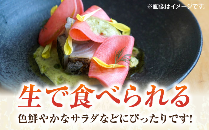 【先行予約】葉付き　かぶ 10玉（9月～6月）【鈴也ファーム】 [AKCE016]