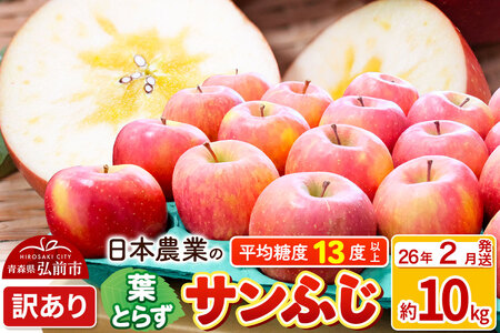 【26年2月発送】りんご 平均糖度13度以上！ 葉とらずサンふじ 約10kg 訳あり 青森 果物 フルーツ 林檎 リンゴ くだもの 不揃い 規格外