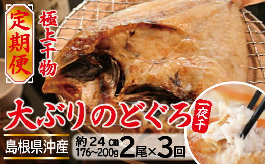 【定期便】島根県沖　大ぶり「のどぐろ一夜干」定期便（３回お届け）【国産 干物 魚介類 無添加 冷凍】
