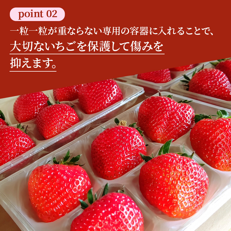 【2回定期便】いちご 完熟 あすかルビー 約540g 2026年1月出荷開始 先行予約 奈良 ブランド イチゴ フルーツ