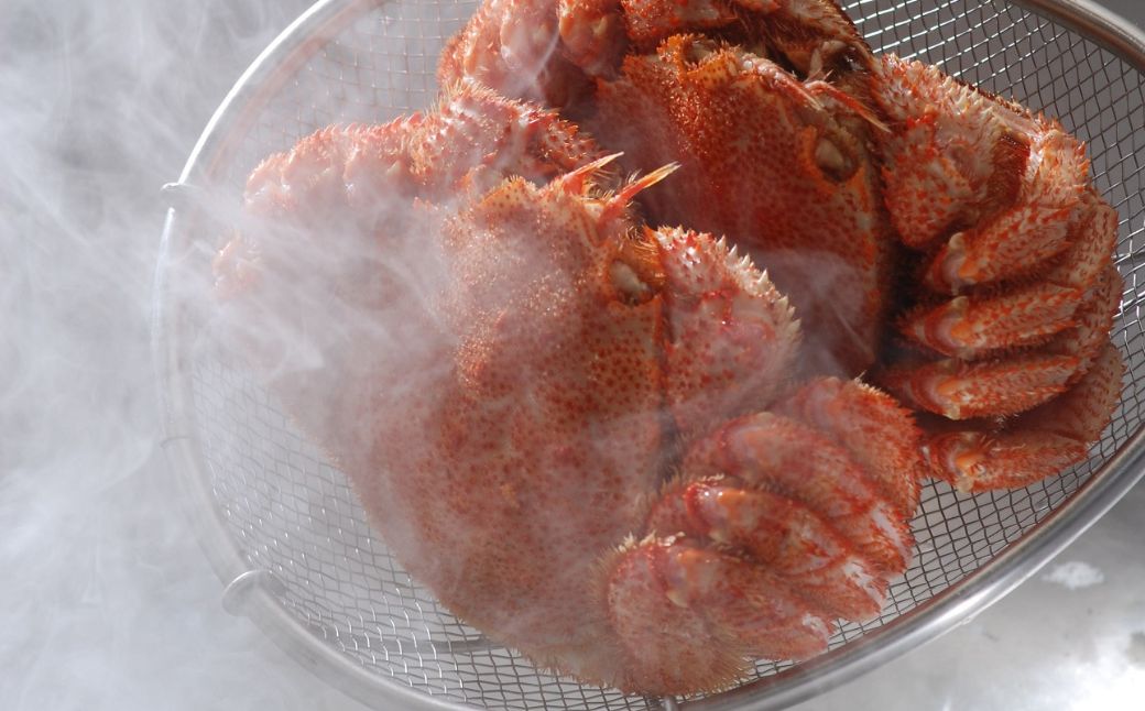 流氷海明け・活〆茹で毛蟹2尾で約800g冷蔵便届け ABAO111