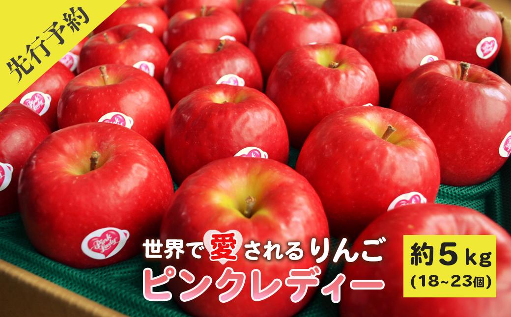 
            りんご 約5kg ピンクレディー 世界で愛される リンゴ 林檎 果物 フルーツ 産地直送 常温便  岩手県 一関市 〈先行予約 令和8年2月上旬頃から発送予定〉
          