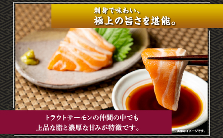 北海桜サーモン 1本活締め 2~3kg 新鮮 刺身 冷蔵 陸上養殖 生食可 桜色 トラウト サーモン 鮭 生鮭 サケ さけ 一本 1匹 一匹 姿 まるごと 国産 北海道産 道産 松前産 産地直送 お取