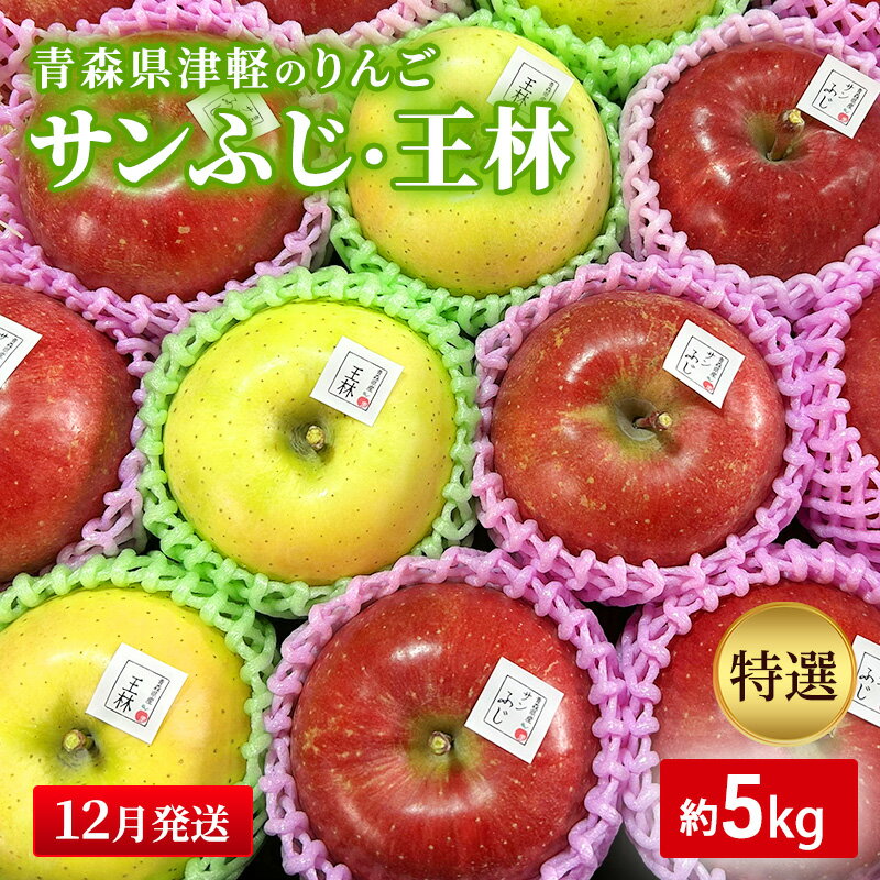 【ふるさと納税】【12月発送】【里いちみfarm】青森県津軽のりんご　特選「サンふじ・王林」約5kg 　お届け：2025年12月1日～2025年12月25日