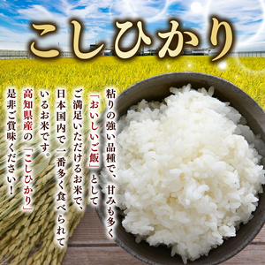 【3回定期便】こしひかり10kg 精米白米米お米お米