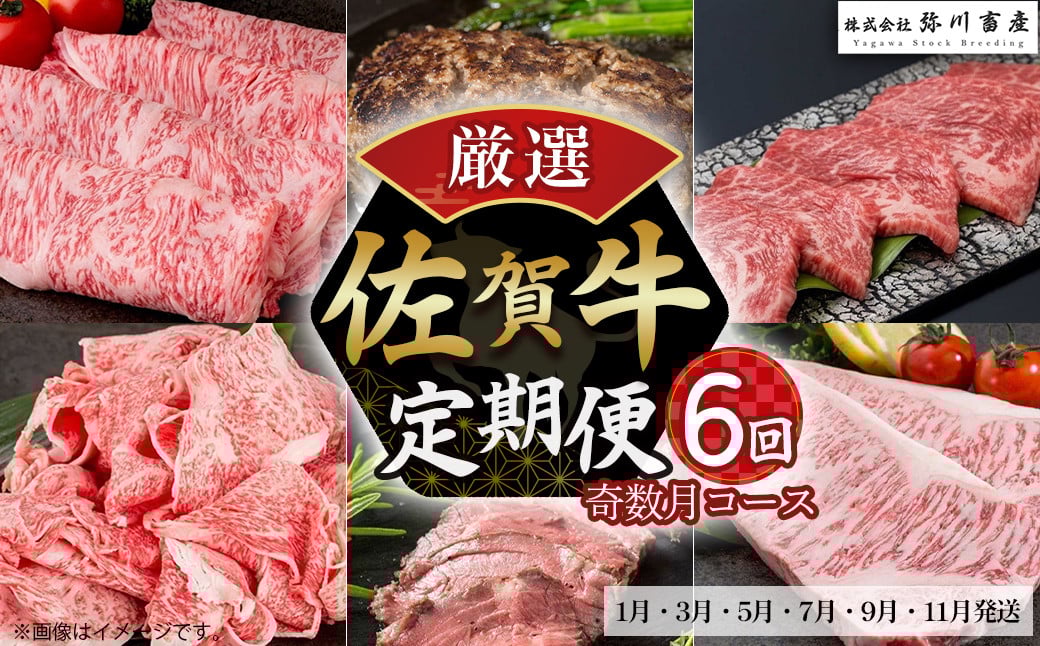 
                  T30x1 佐賀牛 厳選！6回定期便 奇数月コース【1月・3月・5月・7月・9月・11月発送】  佐賀牛 ブランド牛 国産牛 牛肉 肉 佐賀県 太良町
                