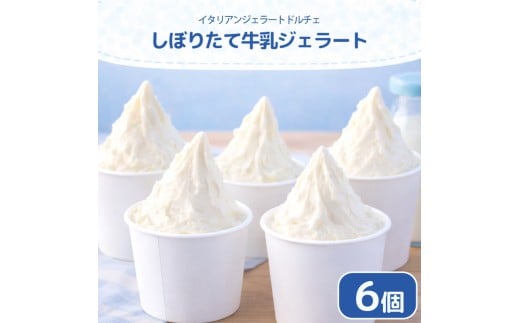 ジェラート イタリアンジェラート しぼりたて牛乳 6個 × 120ml アイスクリーム アイス シャーベット デザート スイーツ お菓子 洋菓子 おやつ 牛乳 ミルク ギフト プレゼント 贈答 お取り寄せ グルメ 冷凍 徳島県 阿波市 イタリアンジェラートドルチェ
