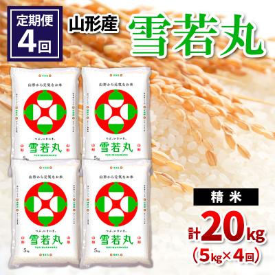 ふるさと納税 山形市  【定期便4回】山形産 雪若丸 精米 5kg×4回 FY26-259