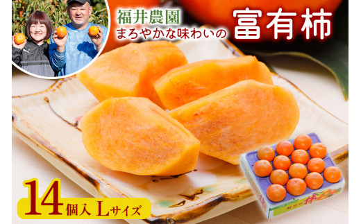 [先行予約／令和8年産／2026年11月～発送開始]《柿の王様》福井農園の富有柿 Lサイズ (14個入) [mt1234]