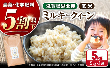 【令和7年産新米】【減農薬米】滋賀県湖北産 湖北のミルキークイーン 玄米5kg[AQAK009] 玄米