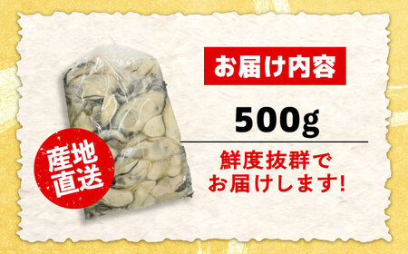 特選 牡蠣三昧！【生牡蠣】広島牡蠣　むき身500g 人気 かき 広島 料理 簡単 レシピ 海鮮 ギフト 広島県産 江田島市/株式会社門林水産[XAO024]