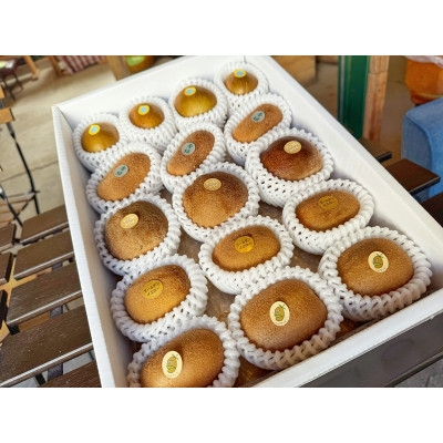 
            掛川産 カラフルキウイ 5種・15個～18個セット:キウイフルーツカントリーJapan　5887【1652650】
          