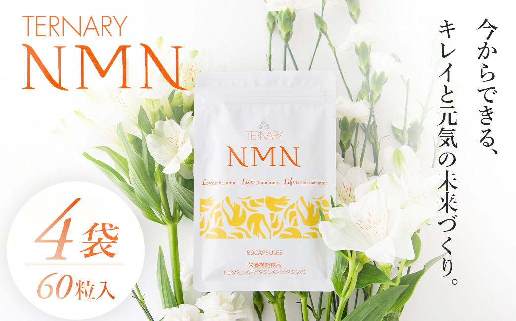 ターナリーNMN（60粒入パウチ）×4袋