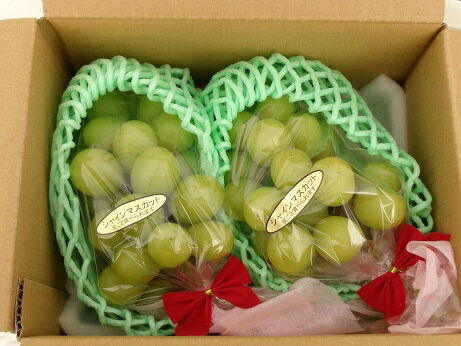 【ふるさと納税】宮下農園のぶどう【クリスマス用シャインマスカット】約1Kg　[2025年 12月19日～24日発送予定 数量限定 農家直送 果物 フルーツ ぶどう]