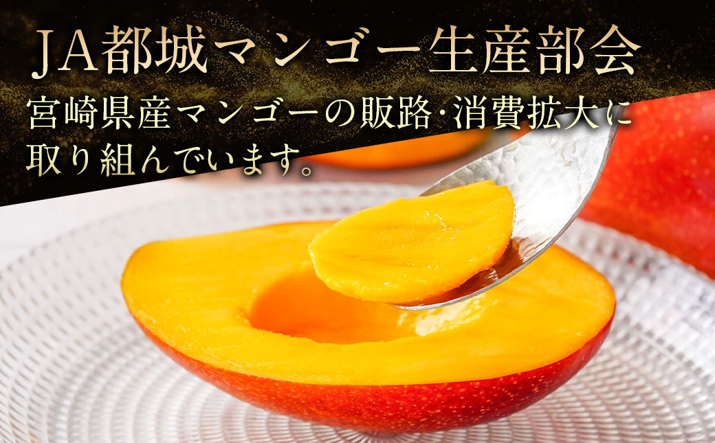 【先行受付!】宮崎県産完熟マンゴー(A等級) 【2L以上×2玉】≪2025年5月中旬以降順次お届け≫_22-0101
