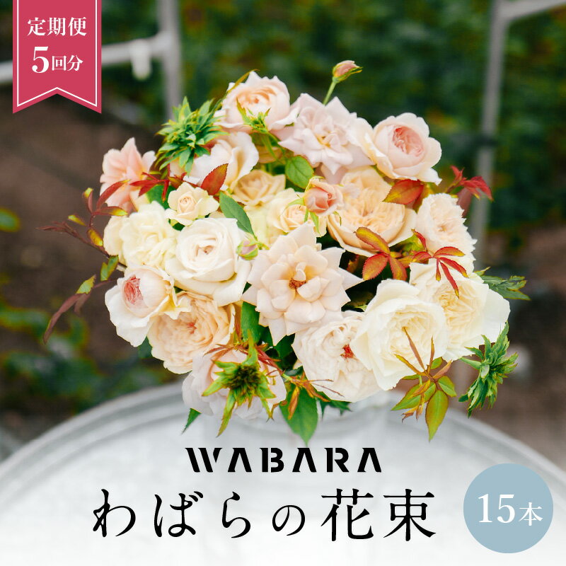 【ふるさと納税】わばら花束 定期便 15本 5回分 Rose Farm KEIJI WABARA 國枝啓司