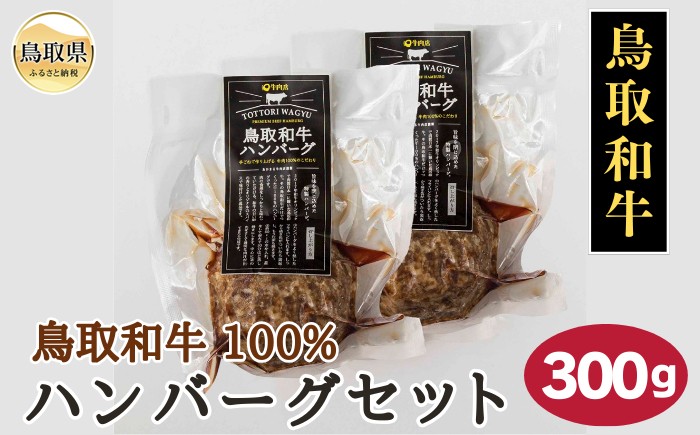 
                  鳥取和牛100％ハンバーグセット300g_T2600390
                