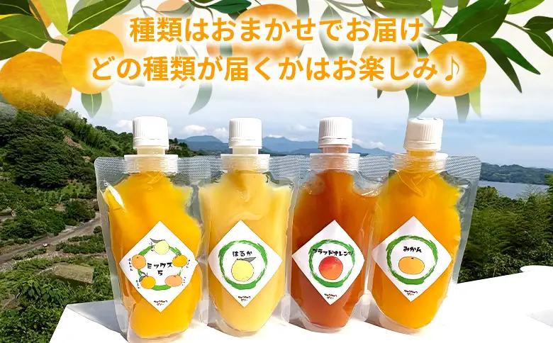 ＜つるんと食感の飲む柑橘ゼリー 10個＞『1か月以内に順次発送予定』果物ゼリー くだもの ゼリー パウチ みかん 蜜柑 デザート スイーツ おやつ のむ ストレート 果汁 100％ 食感 ぷるぷる お