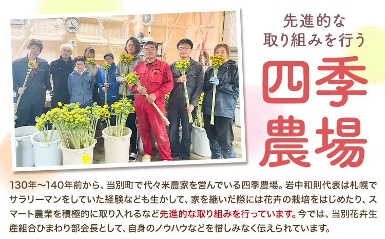 ひまわり 切花 30本 黄色 オレンジ 四季農場《6月上旬-10月中旬頃出荷》北海道 当別町 花 お花 はな ひまわり 夏 切り花 冷蔵便 北海道産 当別町産 インテリア
