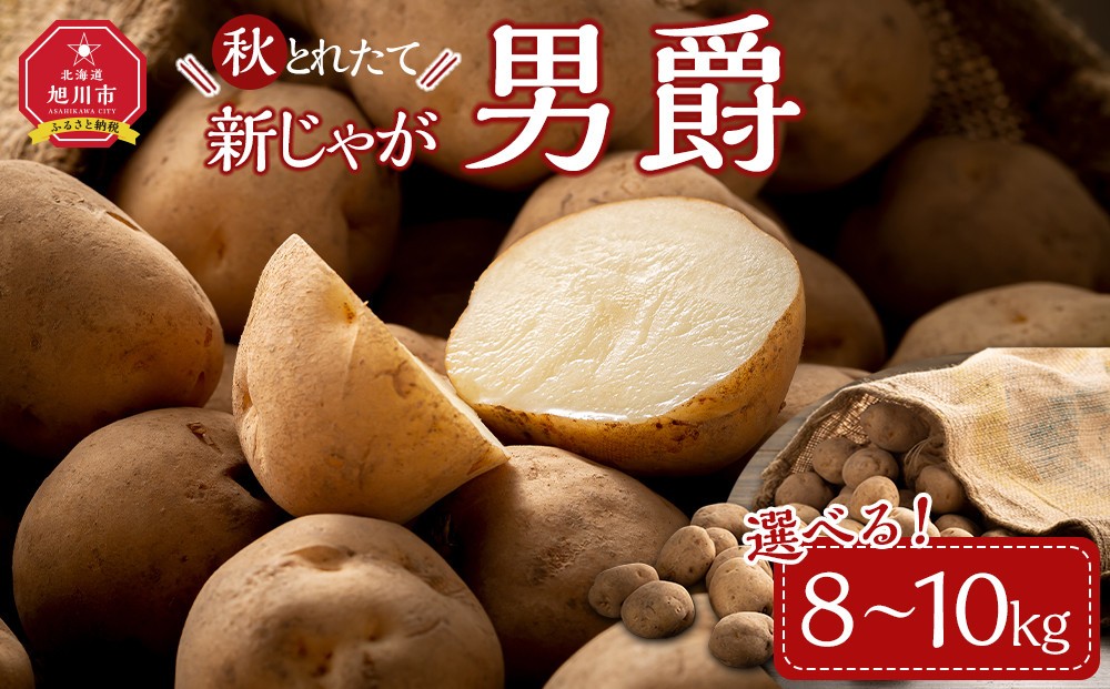 
                  【容量選択可能】【先行予約】秋とれたて 新じゃが 男爵いも 8kg or 10kg【じゃがいも 野菜 産地直送 旬 お取り寄せ 旭川市 北海道 】（2026年10月発送開始予定）
                