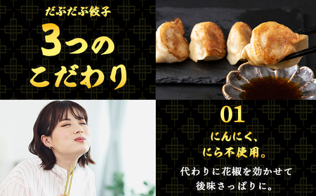 だぶだぶな肉汁をすすりたくなる餃子ちぃーず40個入（20個入×2パック） BE009
