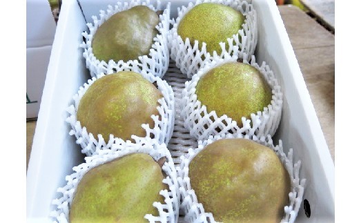 西洋梨（ラ・フランスまたはゴールドラ・フランス）２.５ｋｇ　中玉～大玉　0075-2608