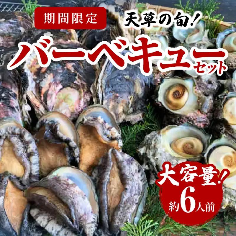 S002-021_【期間限定】大容量！天草の旬！バーベキューセット　約6人前