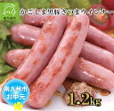 【ふるさと納税】【お中元に】かごしま黒豚さつま ウインナー 150g × 8パック 合計 1.2kg 40本 黒豚ウインナー ソーセージ 加工品 5本ごと 小分け パック 粗挽き感 肉汁 ジューシー お取り寄せ お取り寄せグルメ 鹿児島黒豚 黒豚 鹿児島県 南九州市 送料無料