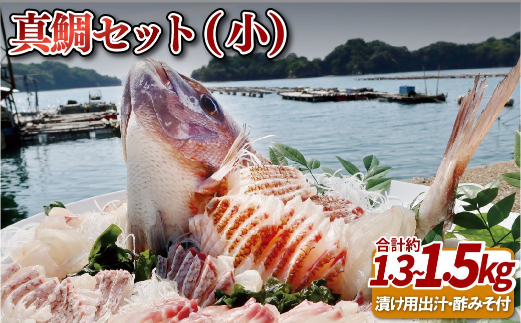 
                  九十九島産 真鯛 フィーレ 3枚 セット 1.3～1.5kg 下処理済 新鮮 産地直送 鯛 タイ 鮮魚 刺身 鯛鍋 鯛飯 鯛茶漬け 長崎県 佐世保市
                