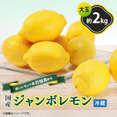 ふるさと納税 上島町 青いレモンの島　貯蔵蔵出しジャンボレモン2kg(冷蔵)