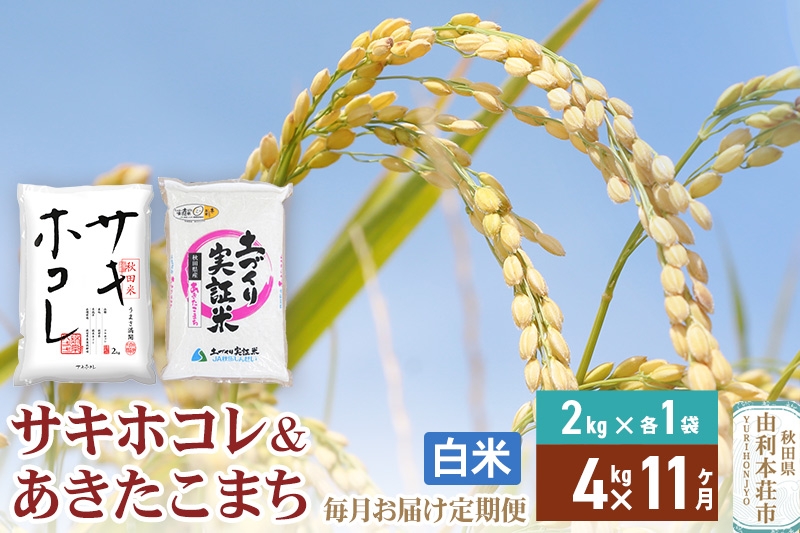 
                  《定期便11ヶ月》【白米】令和7年産 サキホコレ2kg・土づくり実証米あきたこまち2kg (計4kg) ×11回 計44kg 精米 特A評価米 秋田県産
                