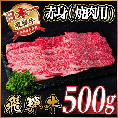 【ふるさと納税】飛騨牛　厳選赤身(焼肉・BBQ用)500g～【冷凍便】A4～A5等級　黒毛和牛【配送不可地域：離島】【G1543758】