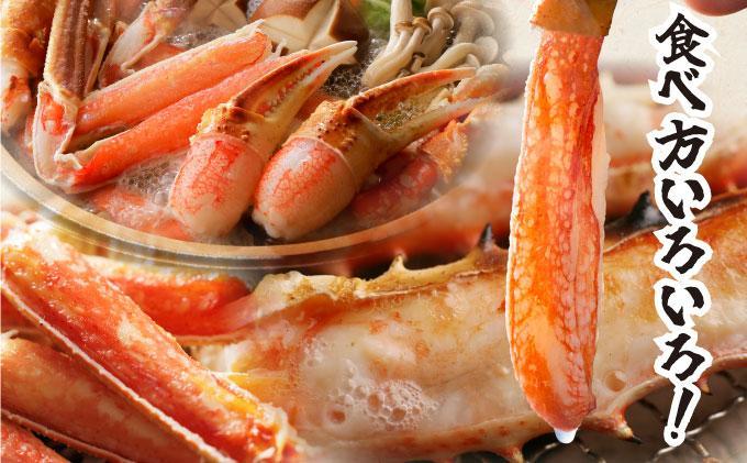 オオズワイ姿（訳あり品）2kg｜かに カニ ズワイガニ オオズワイ【ysk-008】