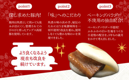 【全3回定期便】【化粧箱】大とろ角煮まんじゅう10個[EAB019]  岩崎本舗 角煮 定期 定期便