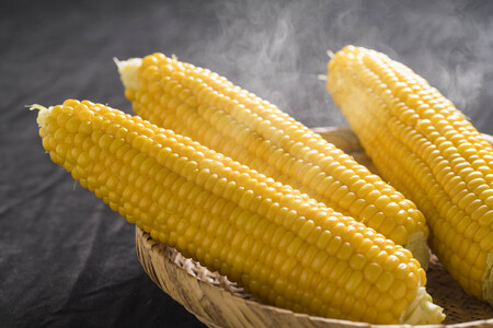 【令和8年産先行受付】北海道とままえ産スイートコーン　7本（先行予約　北海道産　とうもろこし　とうきび　朝どれ　朝もぎ　旬　新鮮　送料無料　冷蔵）