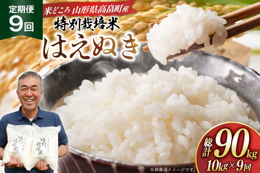 
                  米 定期便 9回 令和8年産 特別栽培米 はえぬき 10kg 9回 計90kg [渡部ファーム 山形県 高畠町 tk06ays810050] お米 白米 精米 ごはん ご飯 ブランド米
                
