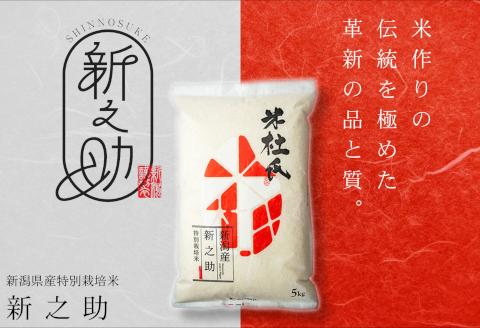 【令和8年産新米】12ヶ月定期便 特別栽培米 新之助 10kg (5kg×2袋)×12回 米杜氏 壱成 白米 精米 大粒 つや 光沢 弾力 芳醇 1H30336
