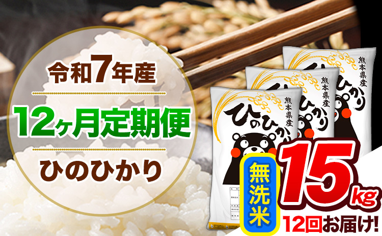 【12ヶ月定期便】令和7年産 定期便 無洗米 ひのひかり 15kg 《お申込み翌月から出荷開始》熊本県産 ふるさと納税 精米 ひの 米 こめ ふるさとのうぜい ヒノヒカリ コメ 熊本米 ひのもり