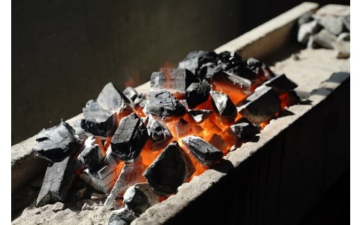 【ふるプレ限定品】 【備長炭で焼く“いい焦がし”】三河一色産うなぎの蒲焼1尾＆白焼1尾 鰻 ウナギ 蒲焼 白焼 たれ タレ 国産 備長炭 土用 丑の日 冷凍 三河一色産 H189-013