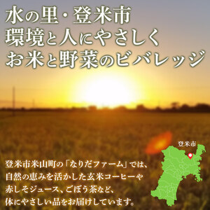 抗酸化野菜 生姜シロップ 計1kg (250g×4個) ジンシャーシロップ ジンジャー ジンジャーエール しょうがシロップ しょうが 生姜 国産生姜 炭酸割り 【株式会社NARIDAヘルスサポート】t