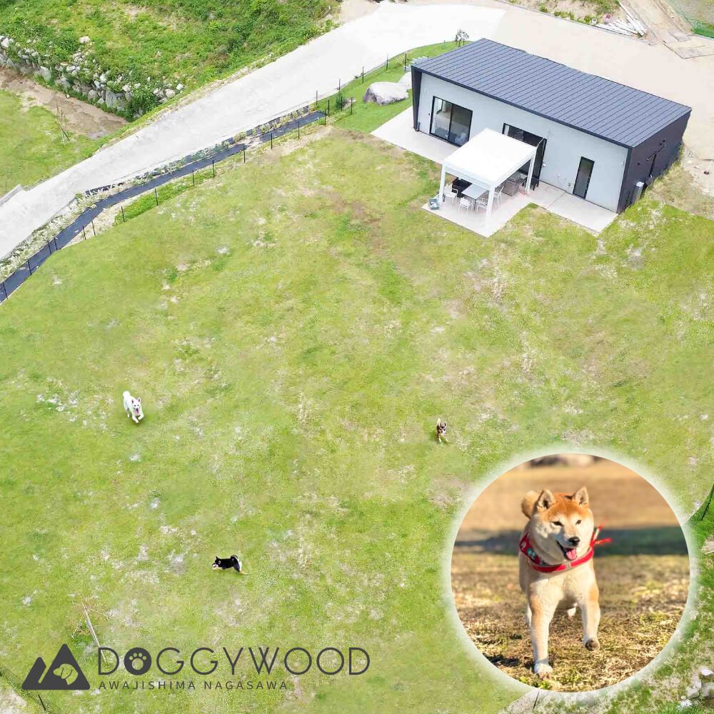 【ふるさと納税】淡路島で愛犬と泊まれる宿＜DOGGYWOOD＞で使える宿泊ご優待券60,000～100,000円分