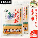 【ふるさと納税】ふうれん特産館もち米2kg×2袋セット (株)もち米の里ふうれん特産館《30日以内に出荷予定(土日祝除く)》【配送不可地域あり】お米 こめ コメ 白米 精米 餅 ご飯 ごはん 赤飯 大福 おはぎ 和菓子 家庭用 国産 安心 安全