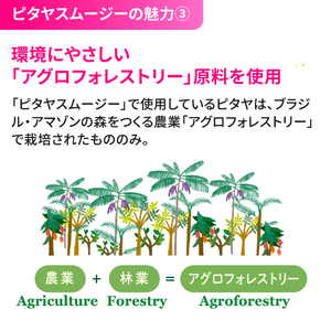 [定期便／3ヶ月] ピタヤスムージー 195g×計90本 (30本×3回)【甘味料・香料・着色料未使用】｜ピタヤ ドラゴンフルーツ ザクロ ジュース フルーツ 果物 くだもの 濃厚 ポリフェノール ベ