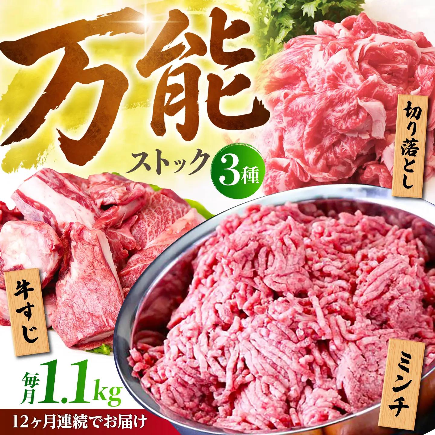 【全12回定期便】佐賀牛 A5 万能ストック3種セットA（切り落とし 500g・ミンチ 300g・牛すじ 300g） HAD123 切り落とし