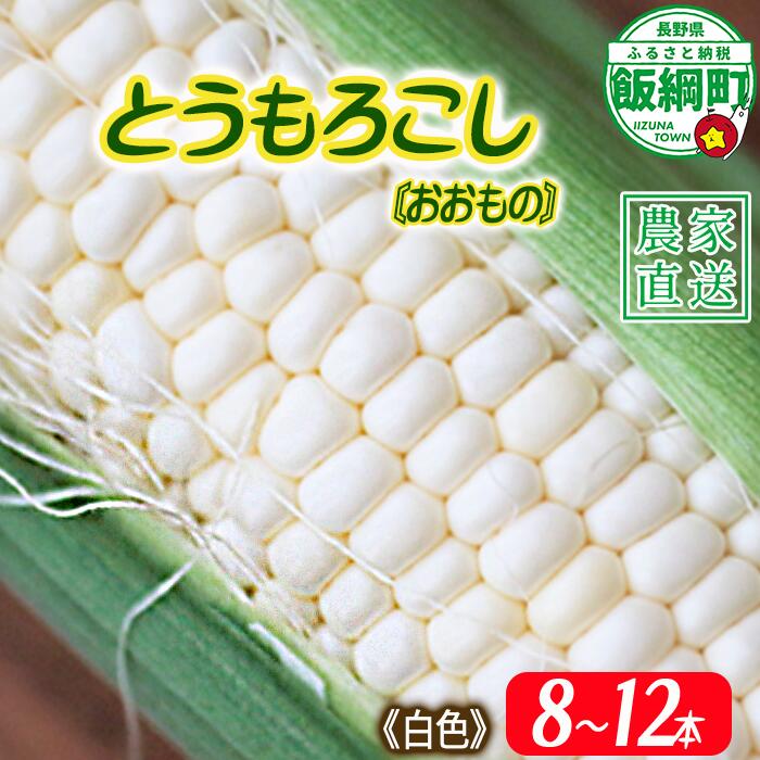 【ふるさと納税】とうもろこし 8本〜12本 (白) 信州産 朝採り 上倉荘 配送先は本州限定 長野県 飯綱町 〔 信州 トウモロコシ コーン おおもの 野菜 14000円 〕発送時期：2026年8月上旬〜2026年9月中旬
